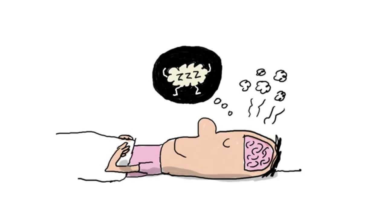 À quoi ça sert de dormir ? - 1 jour, 1 question