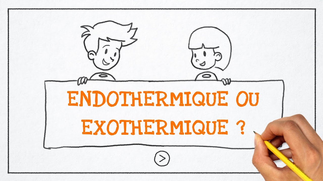 Thermochimie : endothermique ou exothermique ?