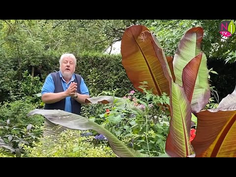 ÉMISSION DÉCOUVERTES JARDINS N°64 : 50 MINUTES DE TOTALE PASSION JARDIN (août/septembre)