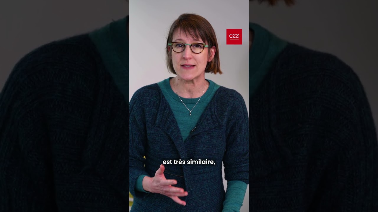 Tous les animaux ont-ils un cerveau ? 🦒🐸🐄