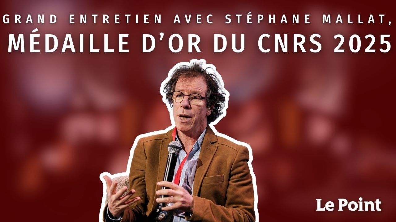 Grand entretien avec Stéphane Mallat, médaille d’or du CNRS 2025
