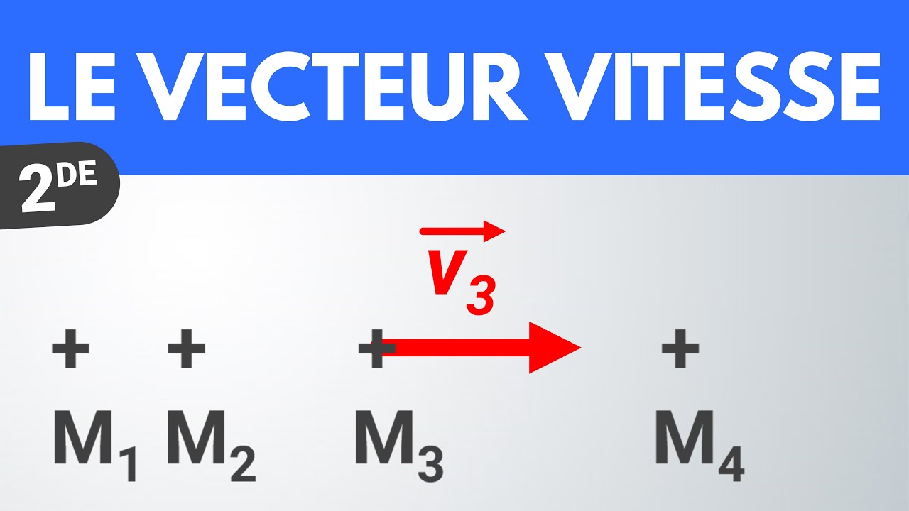 Le vecteur vitesse | Seconde | Physique-Chimie