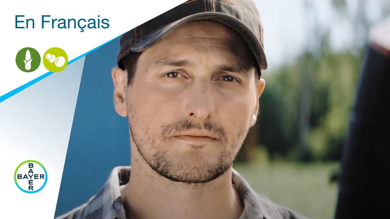 En français : Choisissez vos semences avec DEKALB