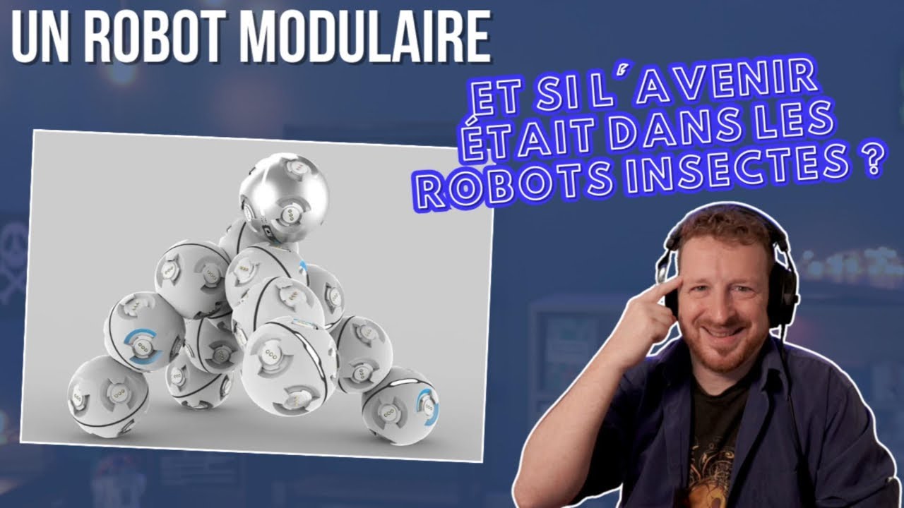 Un robot modulaire : Et si l'avenir était dans les robots insectes ?
