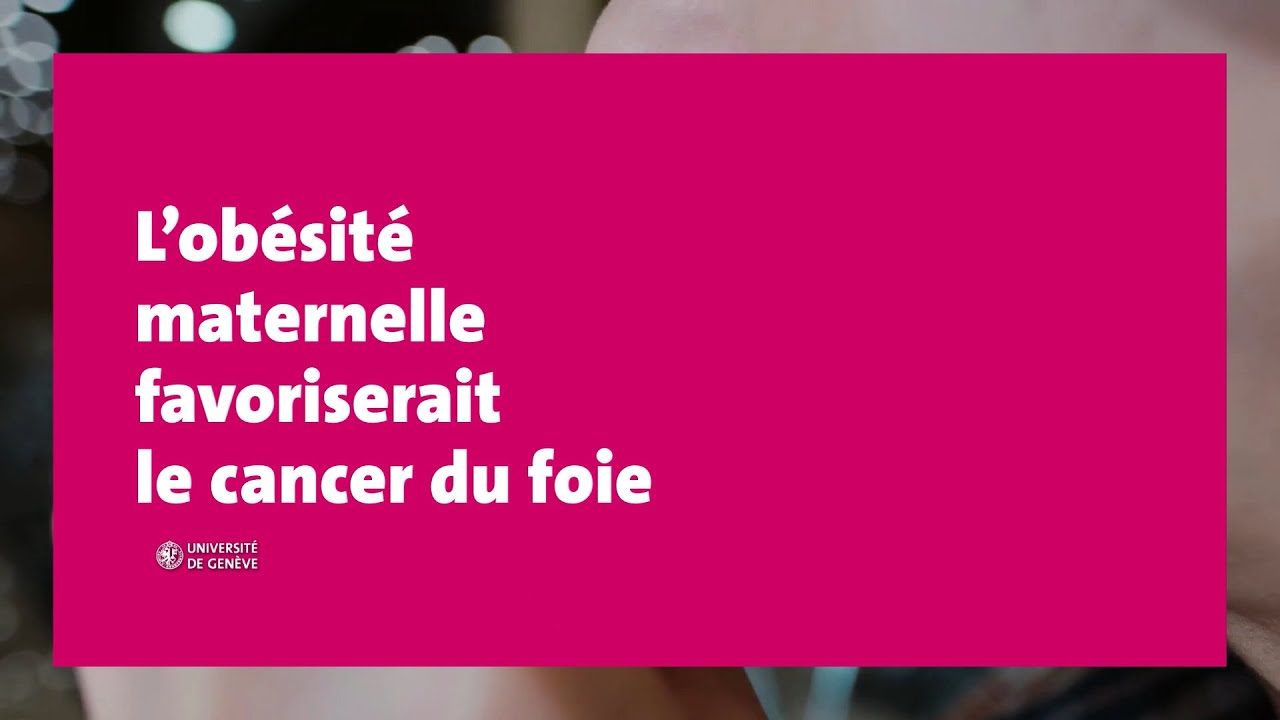 L’obésité maternelle favoriserait le développement du cancer du foie