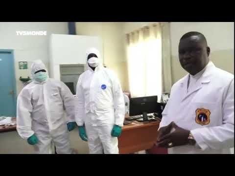 RDC : l'ADN pour résoudre les conflits familiaux autour de la filiation entre enfants et pères