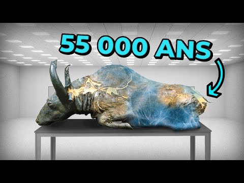 5 ANIMAUX PRÉHISTORIQUES retrouvés CONGELÉS dans la glace