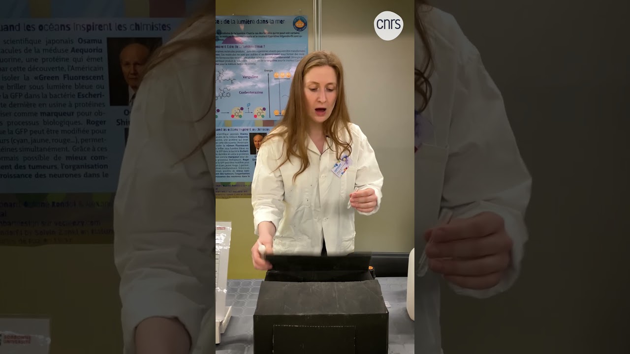 20 000 moles sous les mers | Le CNRS au Village de la chimie 2025