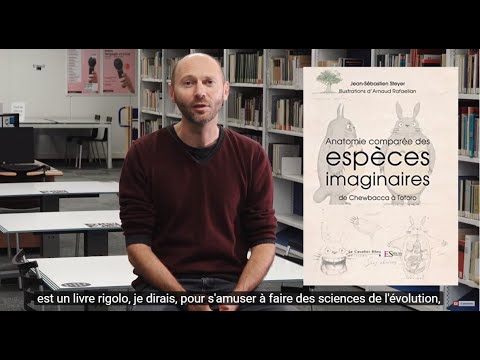 Anatomie comparée des espèces imaginaires : de Chewbacca à Totoro