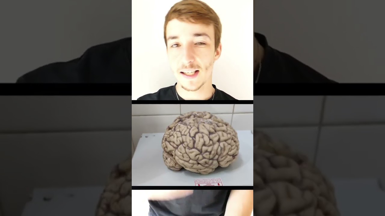 Le cerveau rétrécit avec l'âge 🧠 #cerveau