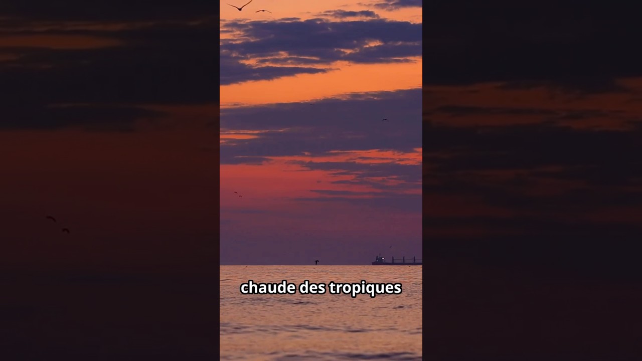 Pourquoi les Océans régulent notre Climat? #faitsinteressants #nature #saviezvousque