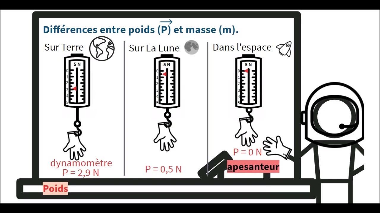 Différences entre le poids (P) et la masse (m).