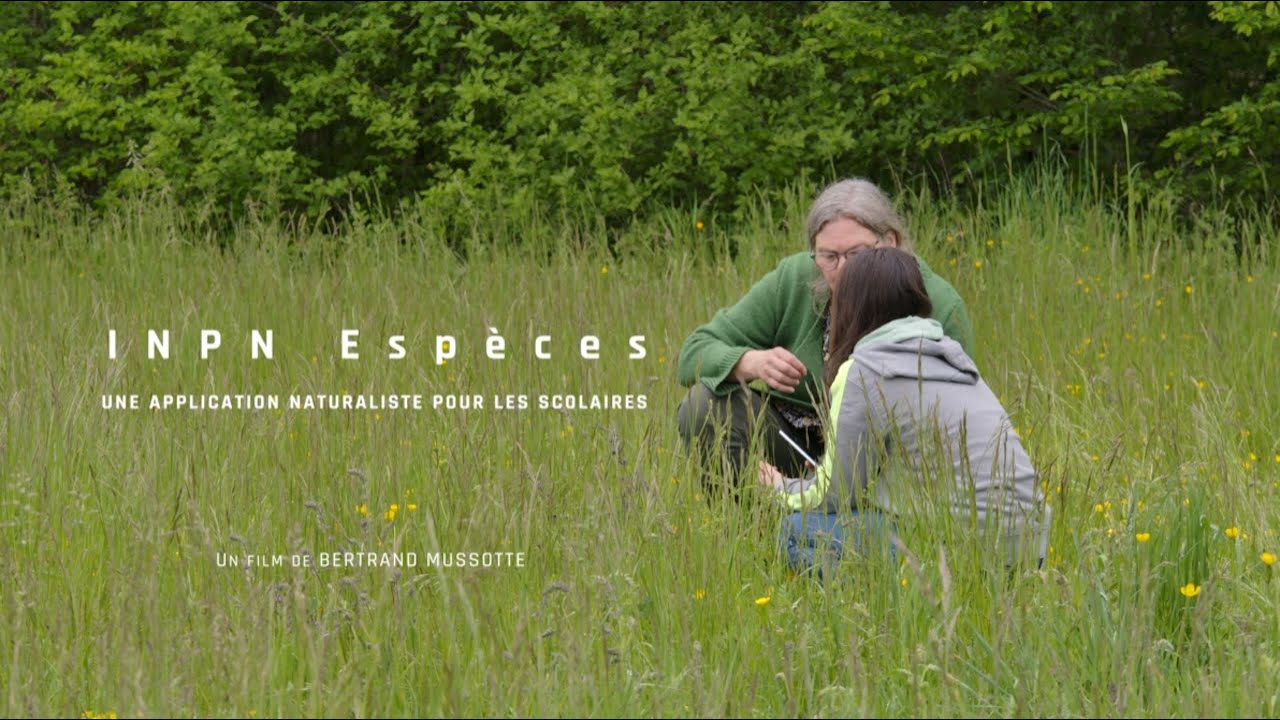 INPN Espèces, une application naturaliste pour les scolaires
