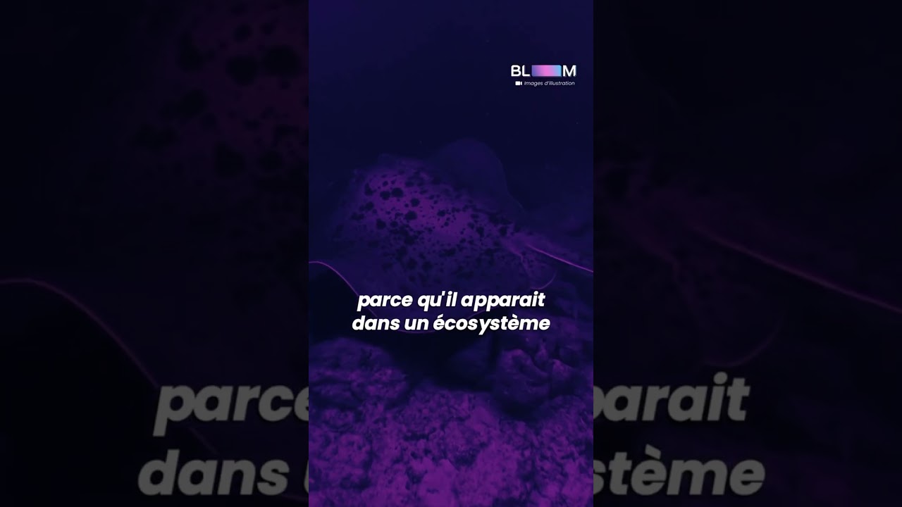 Ces scientifiques ont découvert l’oxygène noir ? 🕳️