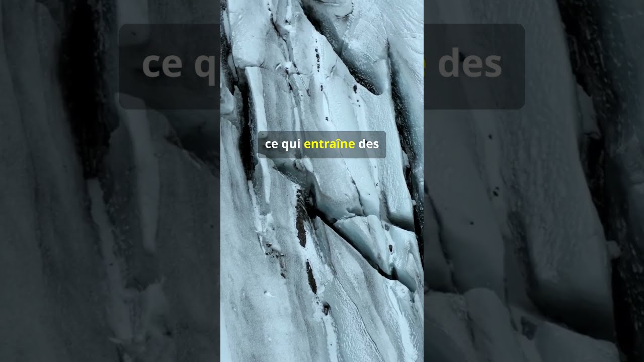 Les secrets fascinants des glaciers #education #animaux #explore