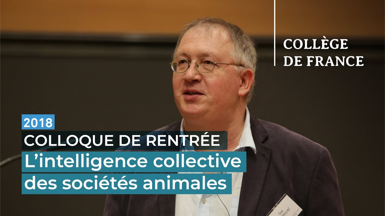 L'intelligence collective des sociétés animales - Guy Theraulaz