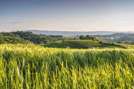 Résultats du bac pro agricole 2025 : comment consulter votre note