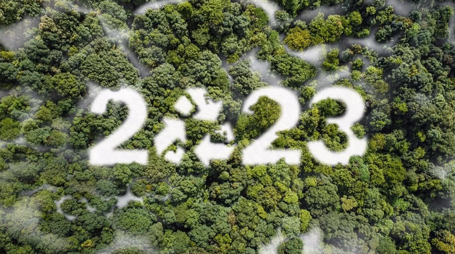 Résultats Parcoursup 2025 : à quelle heure arrivent-ils le jour J ?